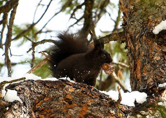 DSC_5253_edited