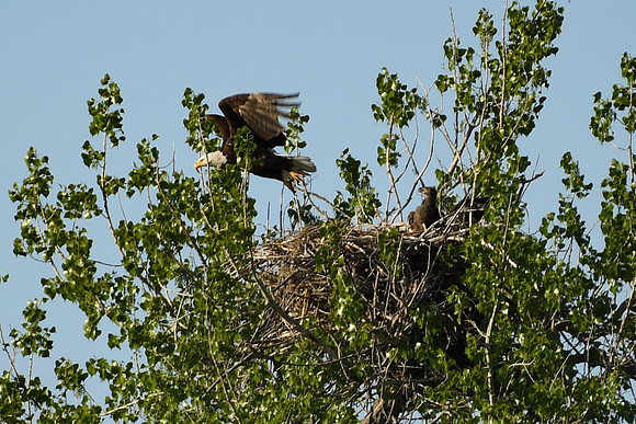 DSC_7667_edited