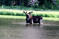 DSC_3166_edited