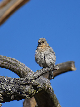 DSC_0409_edited