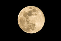 DSC_4798_edited - Full Wolf Moon and Mars