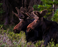 2024-08-03 - Brainard Lake Adventure