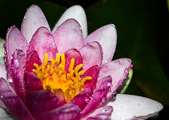 DSC_0533_edited_edited_edited