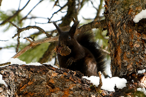 DSC_5251_edited