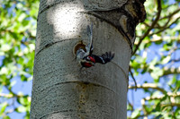 DSC_0159_edited