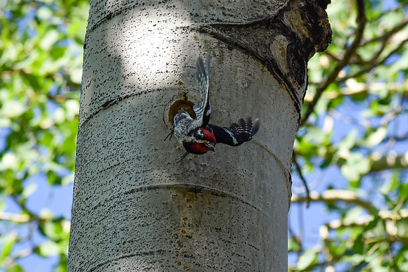 DSC_0159_edited