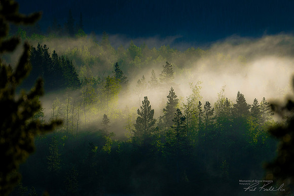 Add Watermark_2022_06_30_01_37_10_edited