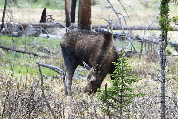 DSC_6764_edited