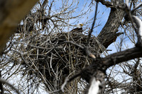 DSC_4796_edited