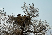 DSC_4614_edited_edited-1