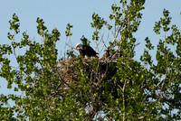 DSC_7660_edited