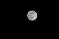 DSC_4399