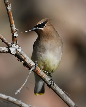 DSC_3080_edited