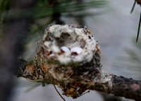DSC_1367_edited
