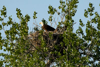 DSC_7664_edited