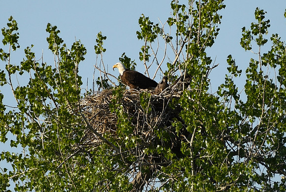 DSC_7664_edited