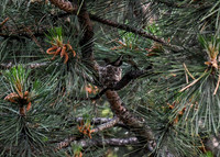 DSC_1380_edited