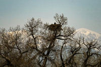 DSC_4577_edited