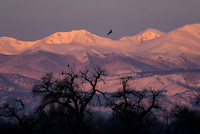DSC_0229_edited-1