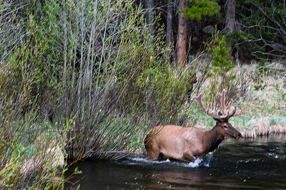 DSC_7757_edited