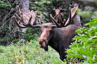 DSC_0320_edited