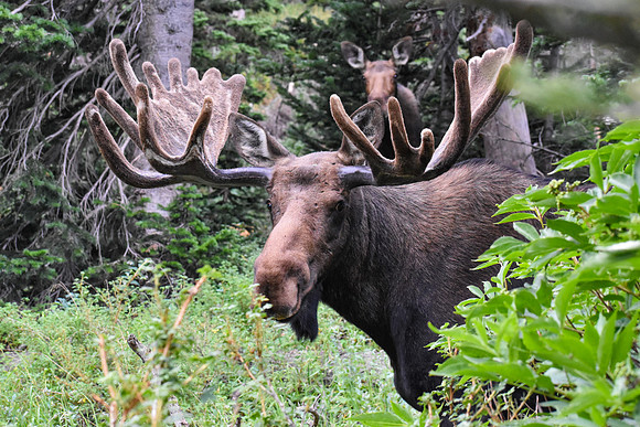 DSC_0320_edited