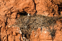 DSC_6568_edited
