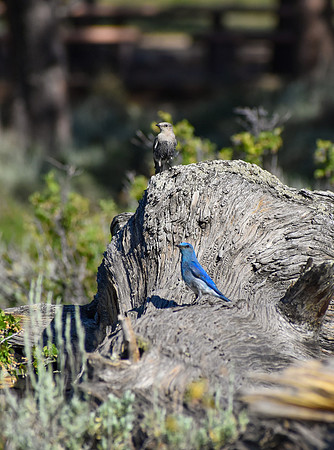 DSC_0013_edited