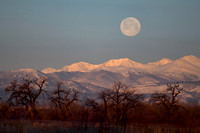 DSC_0315_edited