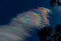 DSC_2446_edited