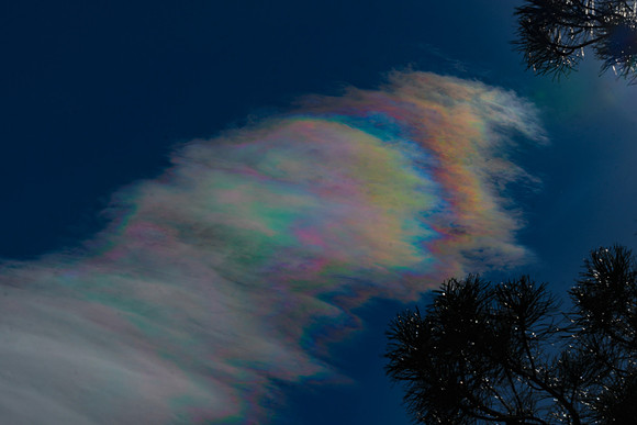 DSC_2446_edited