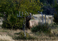 DSC_4885_edited