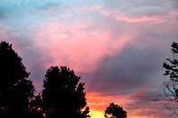 DSC_5339_edited_edited_edited