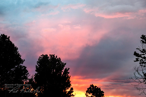DSC_5339_edited_edited_edited