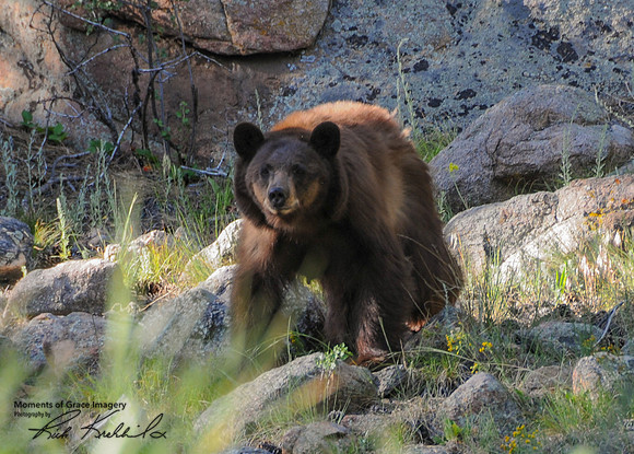 DSC_4022_edited-5x7