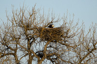 DSC_4246_edited