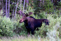 DSC_4608_edited