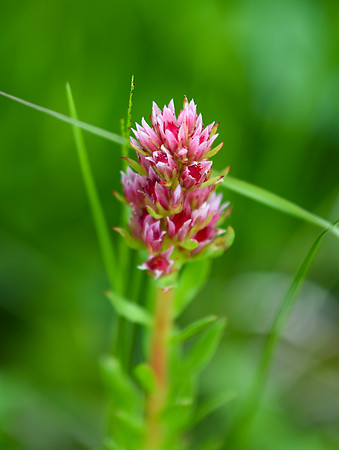 DSC_4370_edited