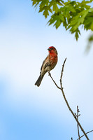 DSC_8164_edited