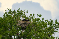 2025-05-26 - Nearly Grown - Stormy Skies