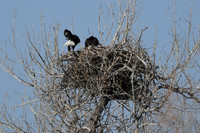 DSC_3577_edited