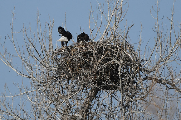 DSC_3577_edited