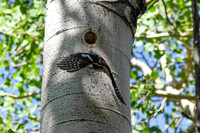 DSC_0199_edited