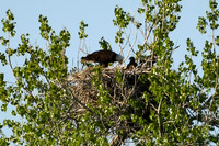 DSC_7638_edited