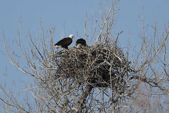 DSC_3606_edited