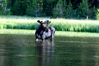 DSC_3155_edited