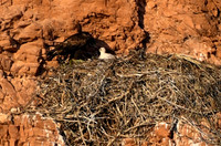DSC_6566_edited-1