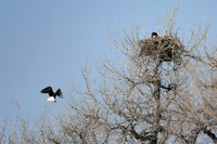 DSC_3563_edited
