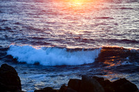 DSC_8116_edited-crop