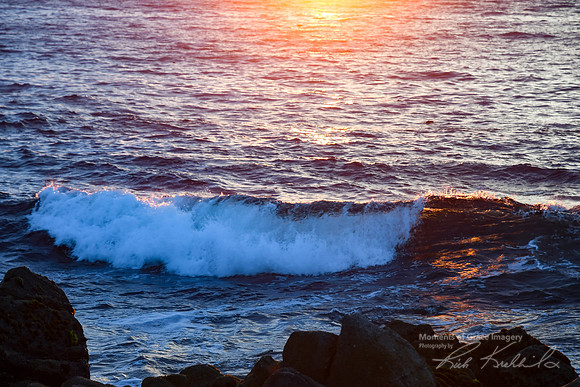 DSC_8116_edited-crop